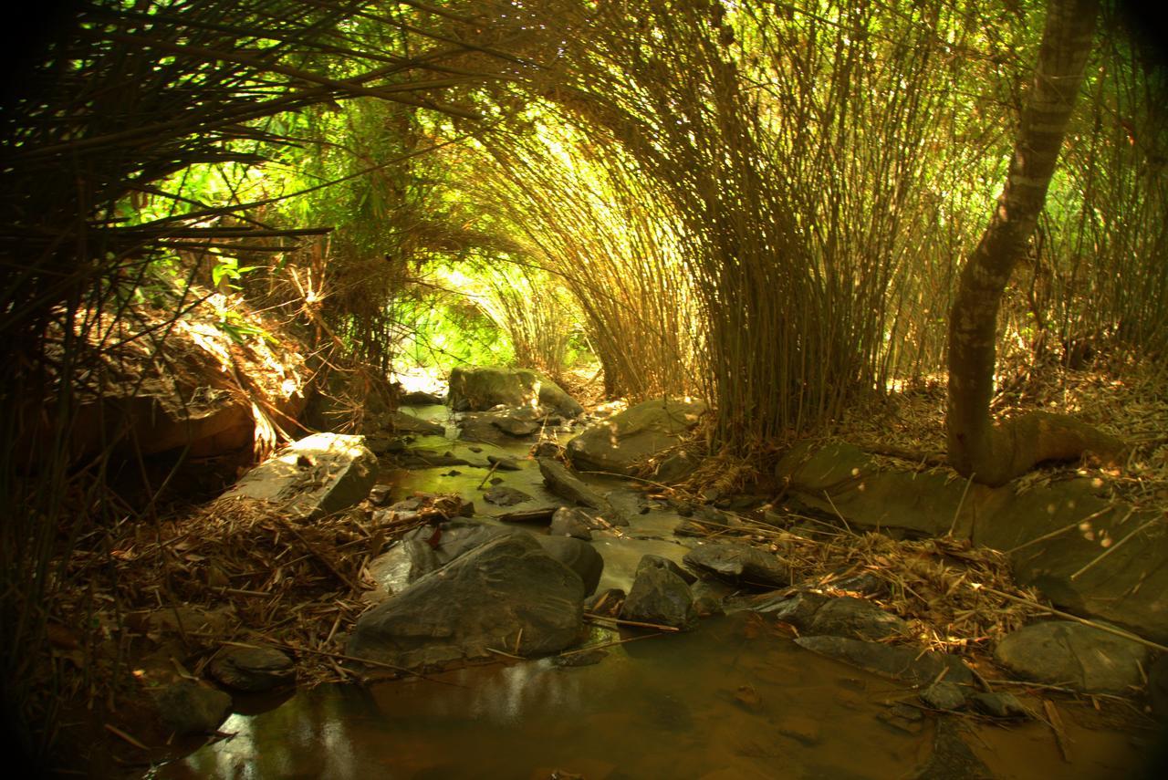 Bamboo Creek Resort Vaduvanchal Exterior foto